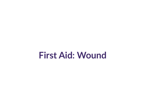 First Aid for Wounds: View the animation to learn how to stop bleeding and care for a wound.